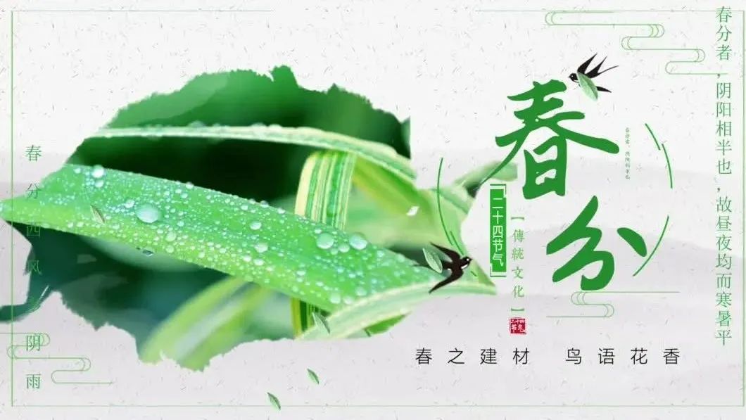 今日春分 | 春之建材，鳥語花香